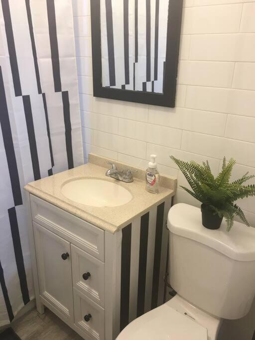 Zen Retreat New York