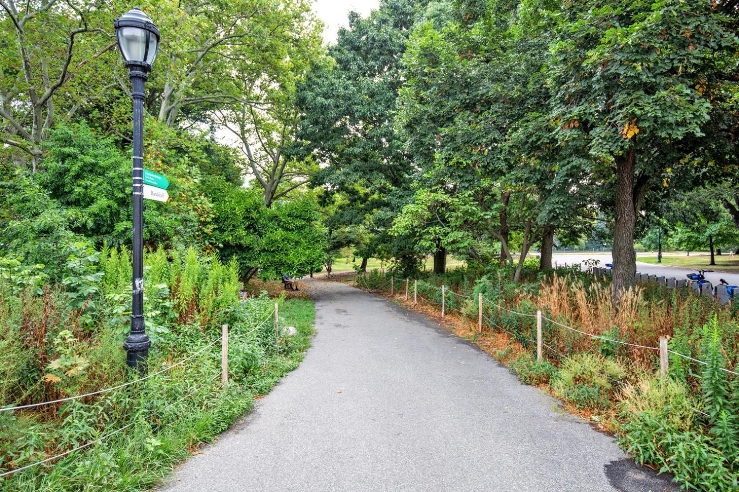 Park Slope 2br W Wd Nr Prospect Park Nyc-928