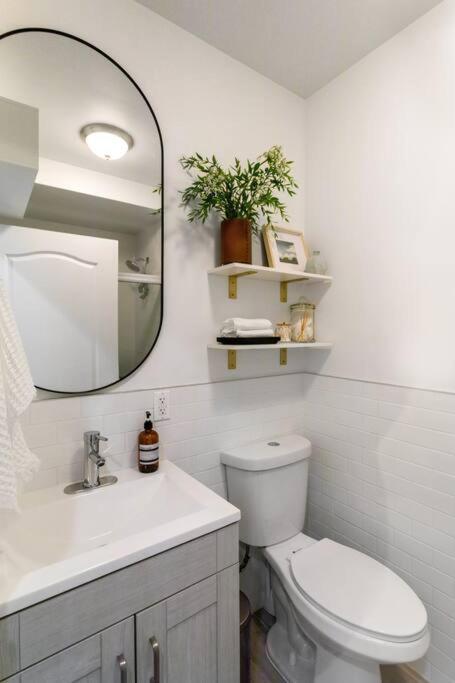 Apartment Bright Designer In Historic Harlem