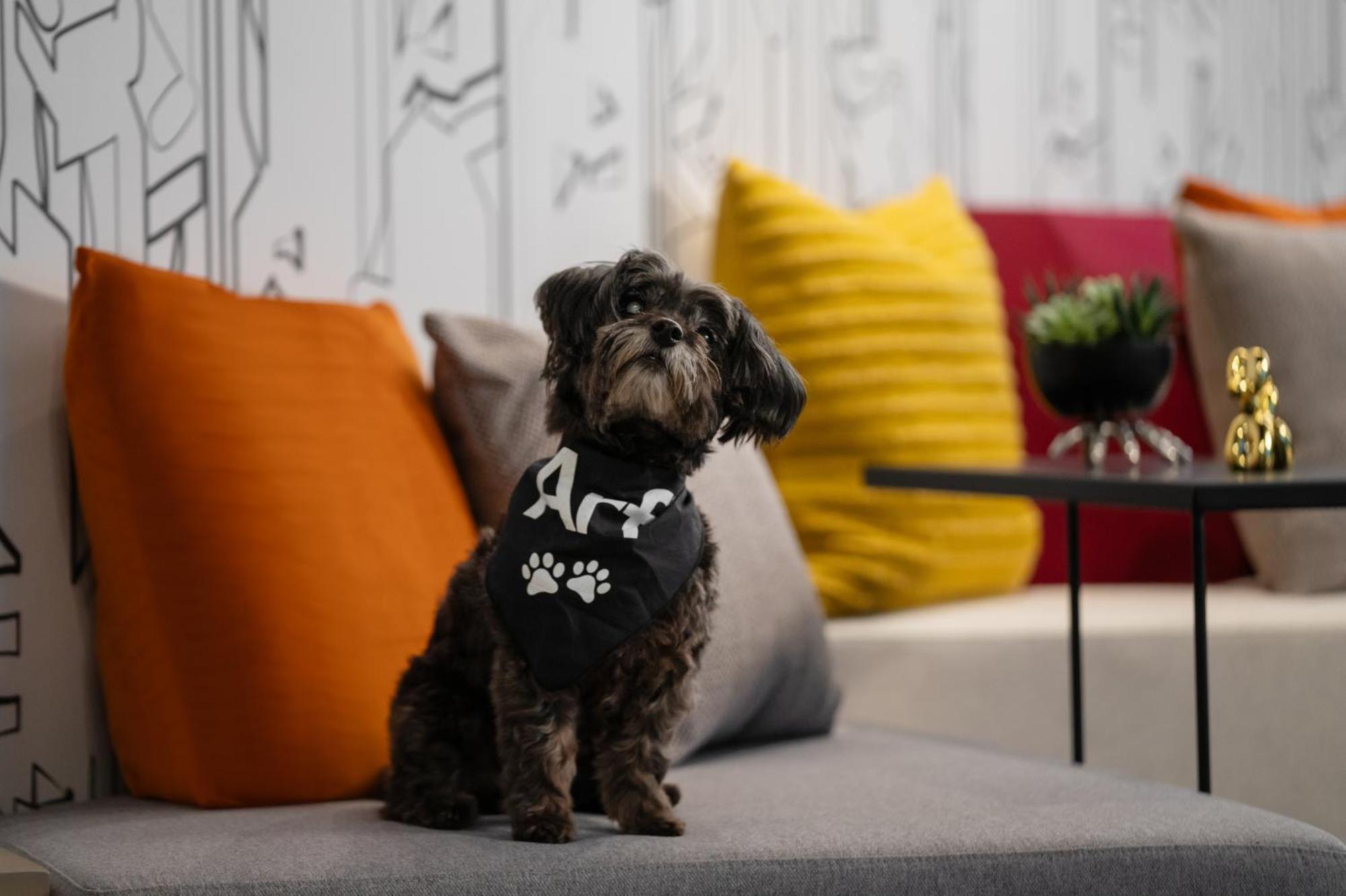 Aloft Chelsea 4* New York