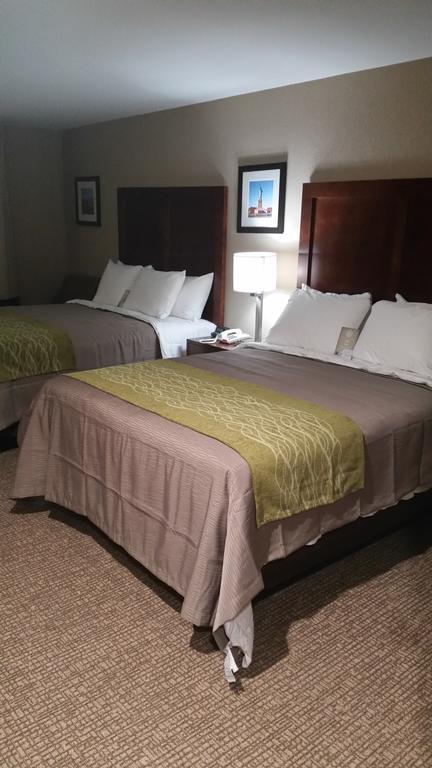 Hotel Comfort Jamaica Downtown New York