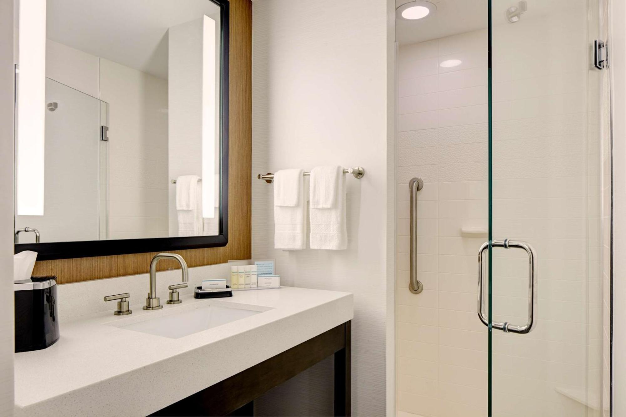 Hampton Brooklyn Downtown Hotel New York