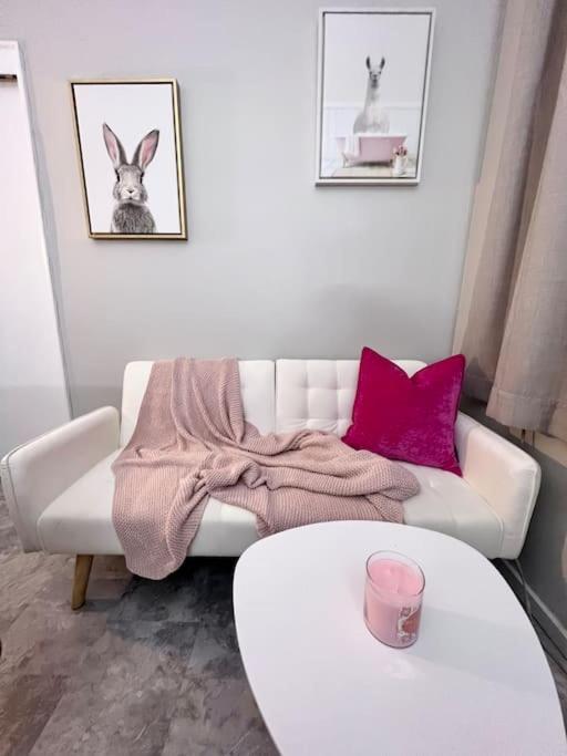 Cozy In Heart Manhattan #20 New York