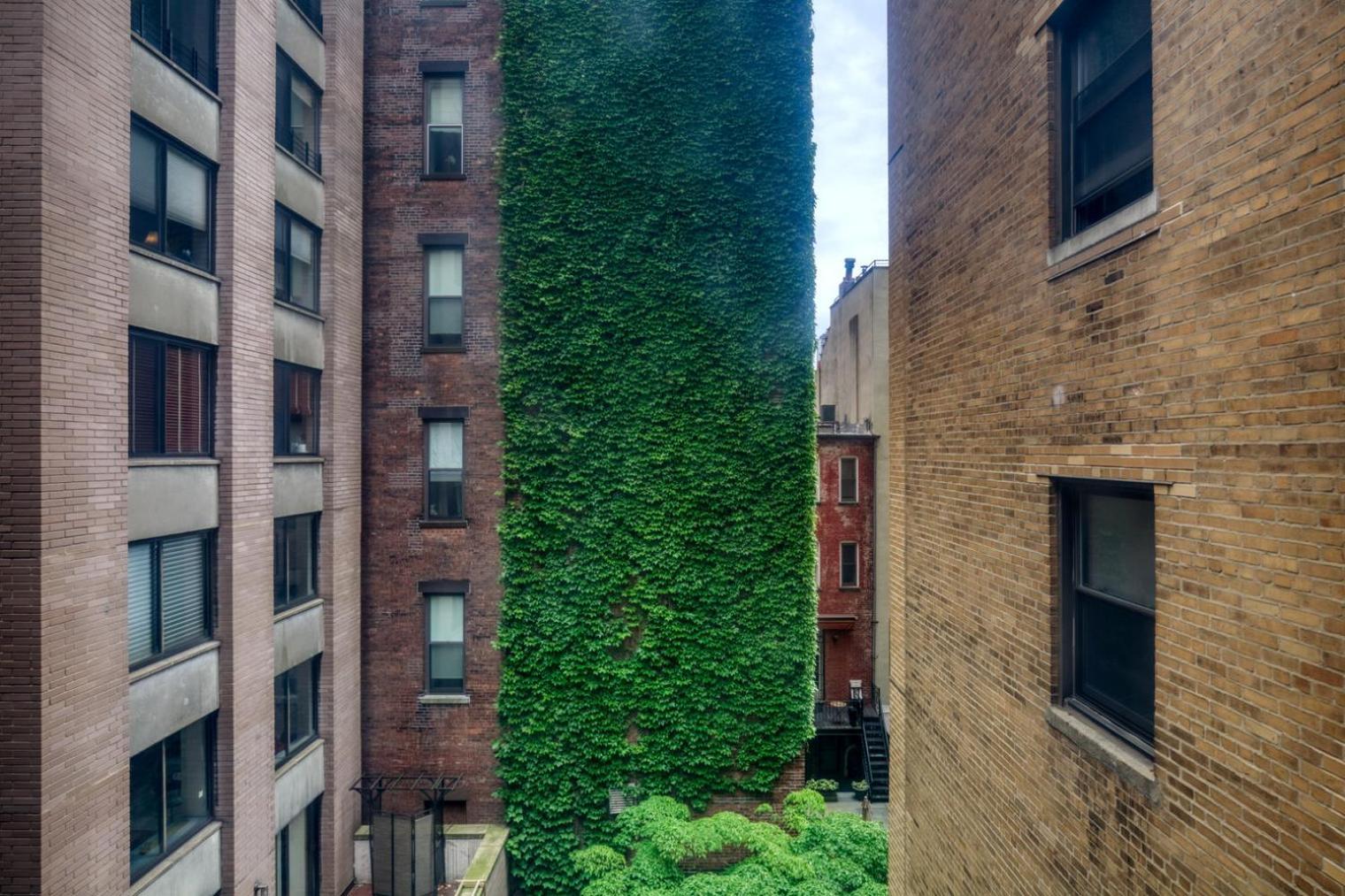 Upper W Side 2br W Wd Nr Central Park Nyc-277 Apartment New York