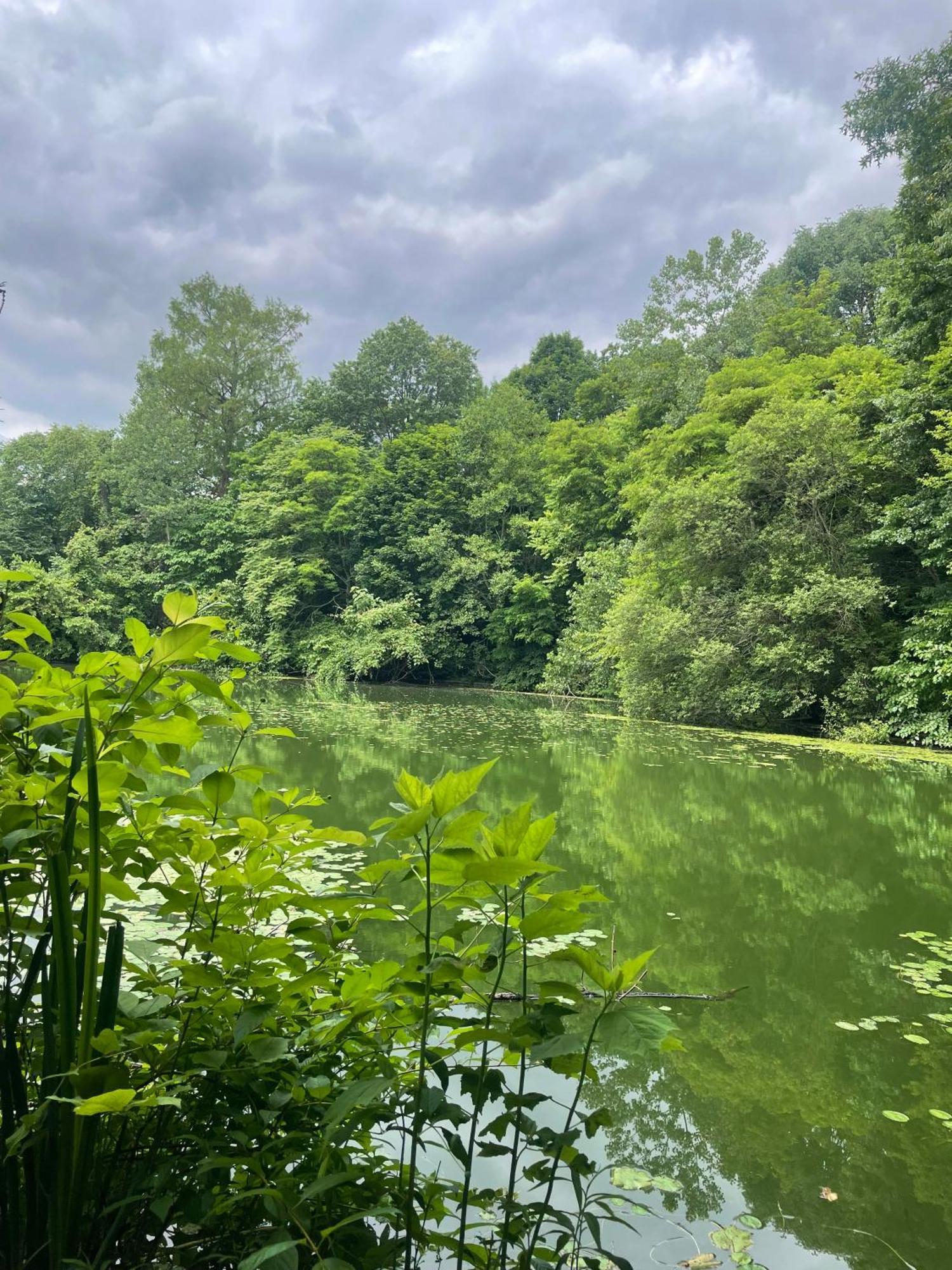 Homestay Brooklyn Zen *