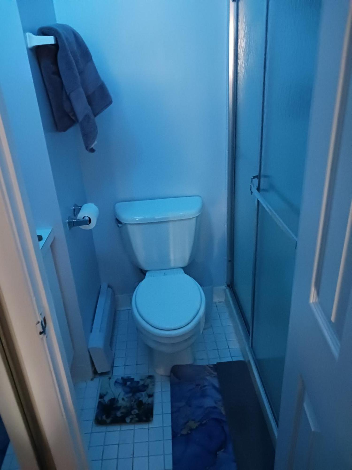 Comfy Room In Fresh Meadows Homestay