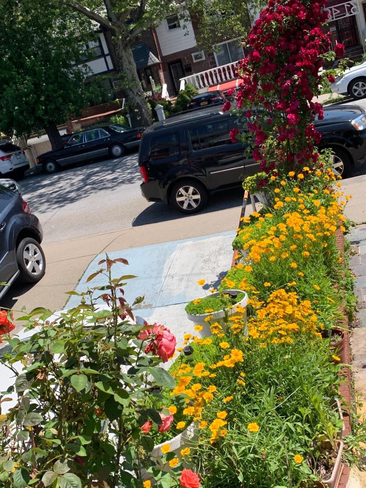 Séjour chez l'habitant Cheerful 2 Bed In Heart Of Queens *