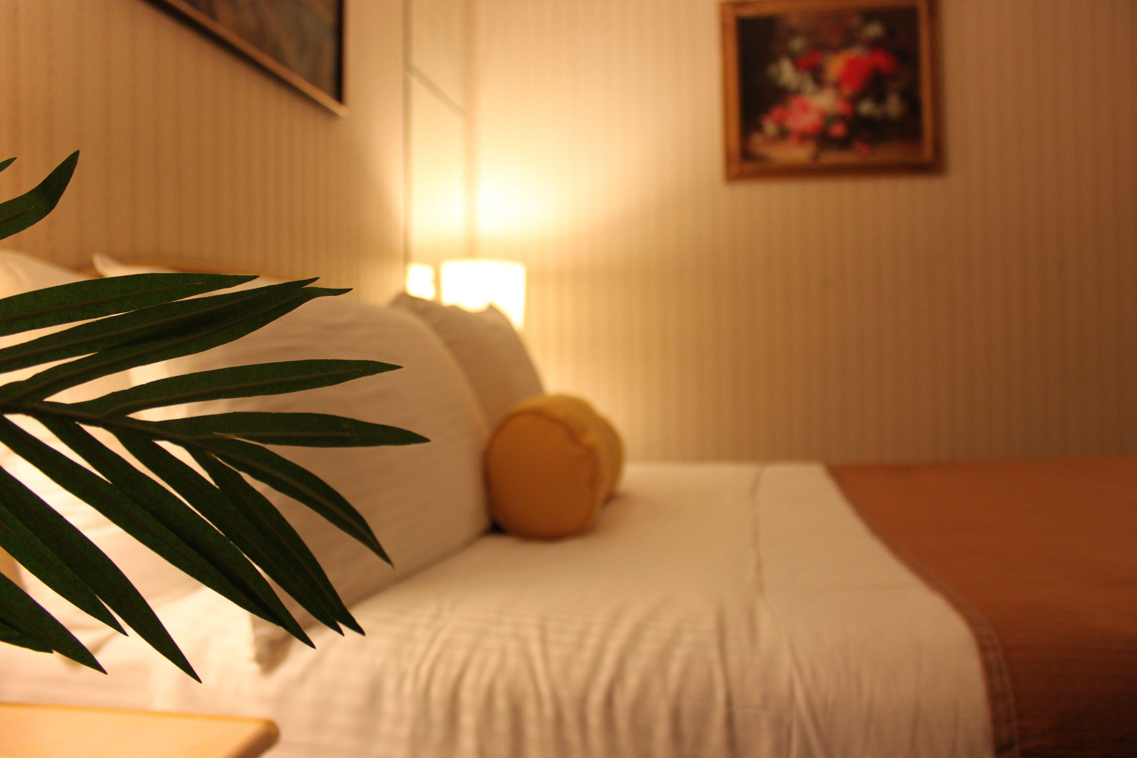 Hotel Flushing 88 2*