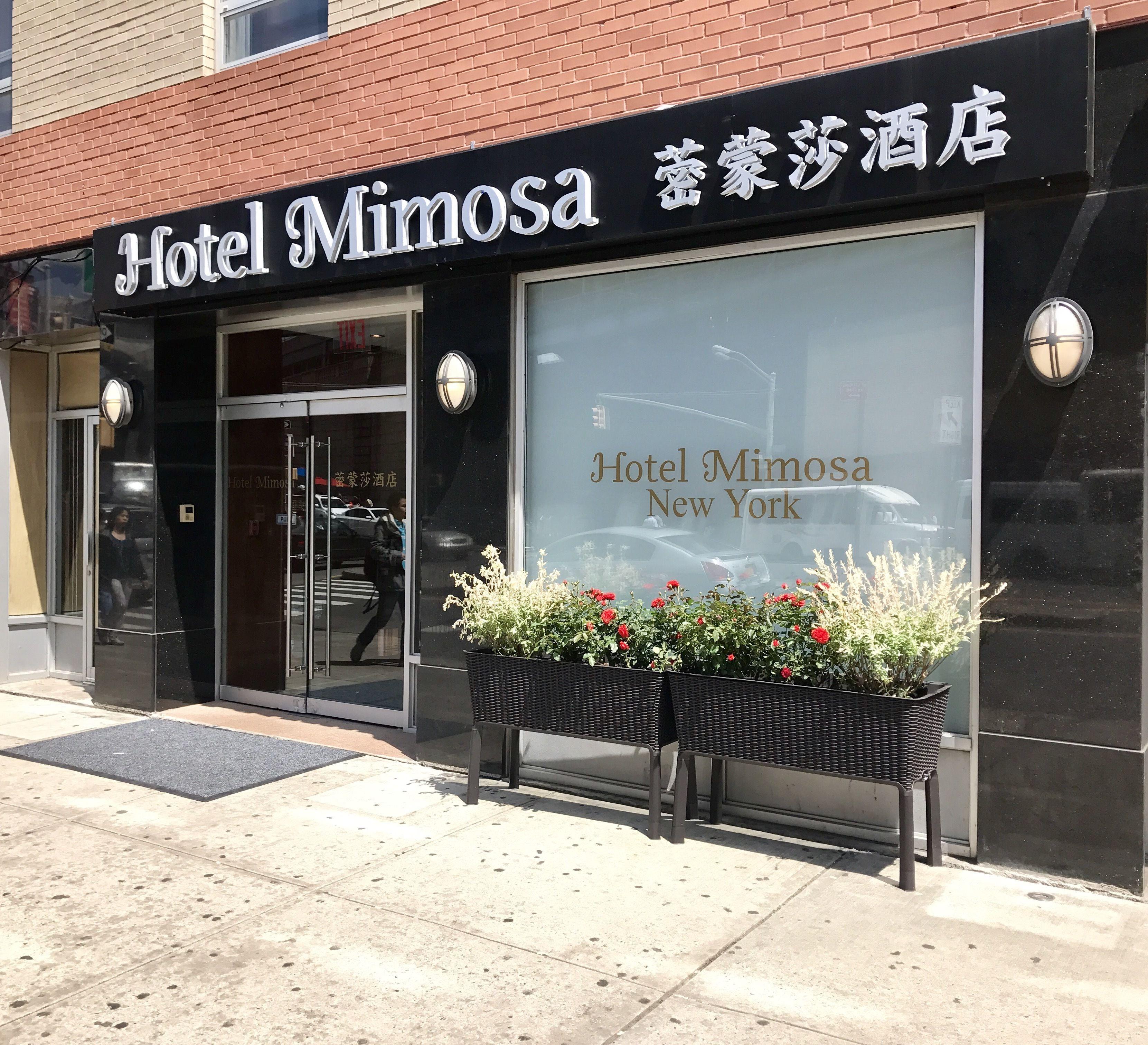 Mimosa Hotel