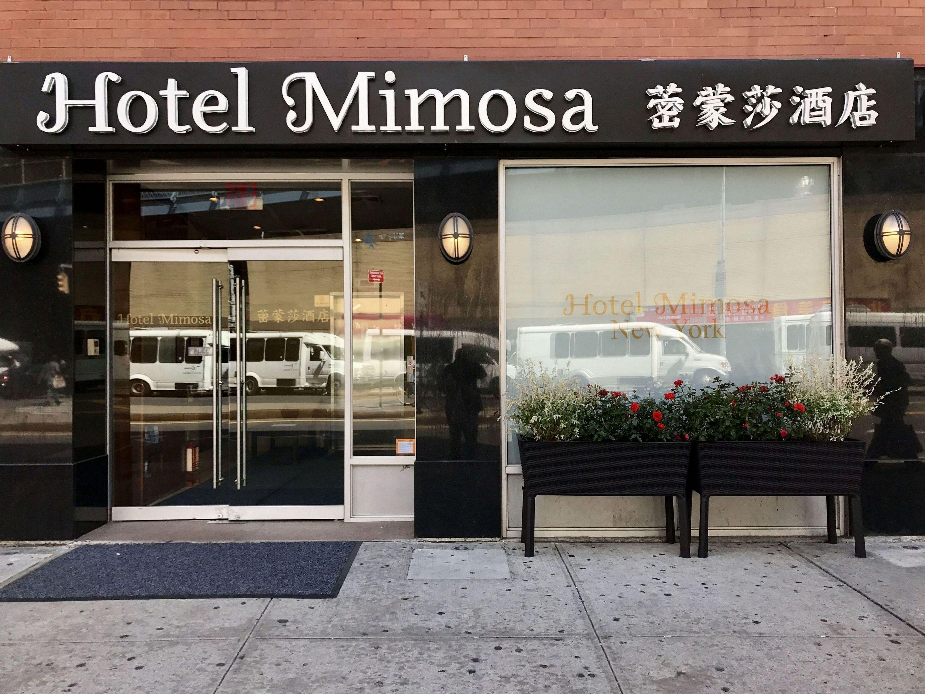 Mimosa Hotel New York