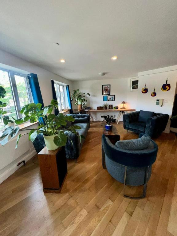 1 Bedroom With Sleeping In Living Williamburg New York