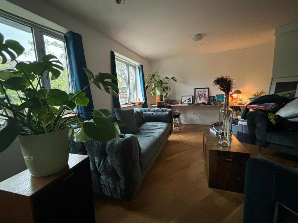 1 Bedroom With Sleeping In Living Williamburg Apartment New York