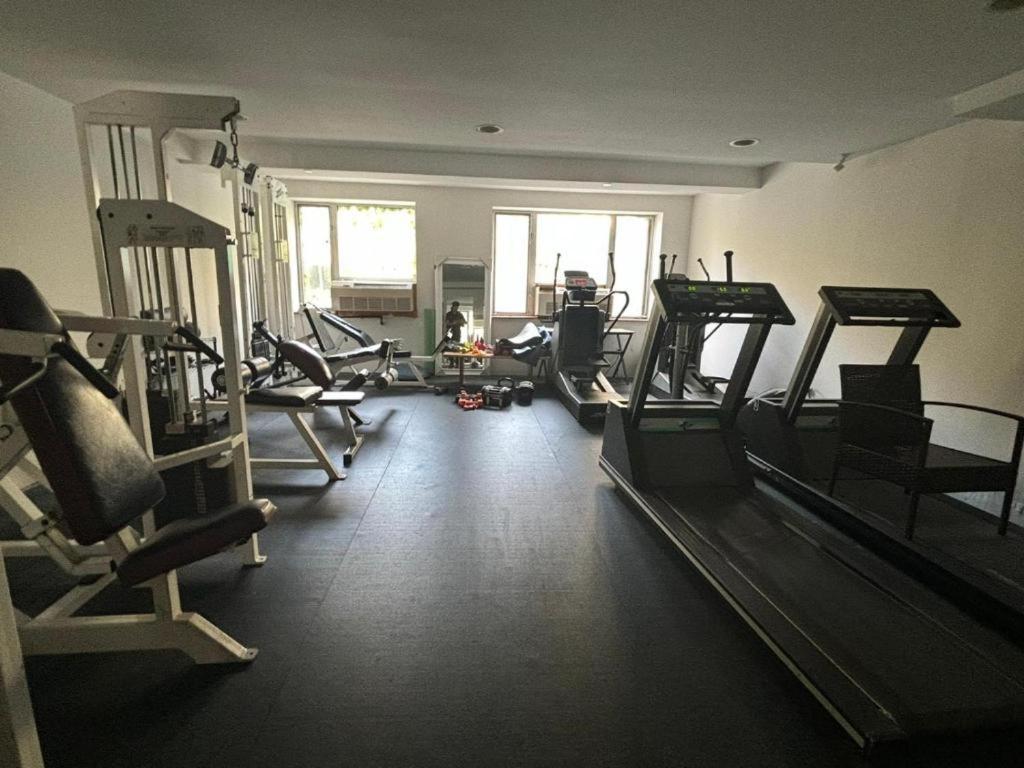 1 Bedroom With Sleeping In Living Williamburg Apartment *