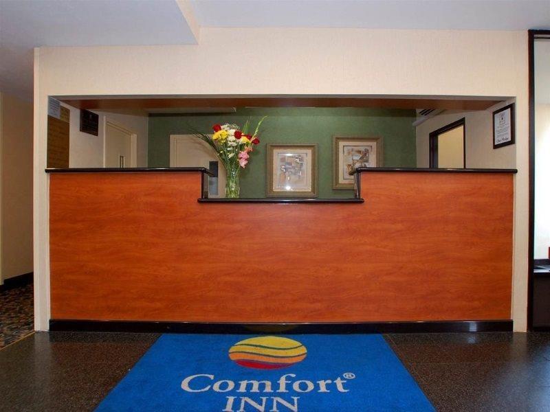 Hotel Comfort Jfk Airport New York