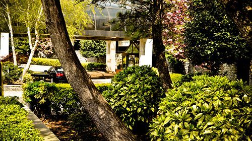 Hotel Garden & - Jfk