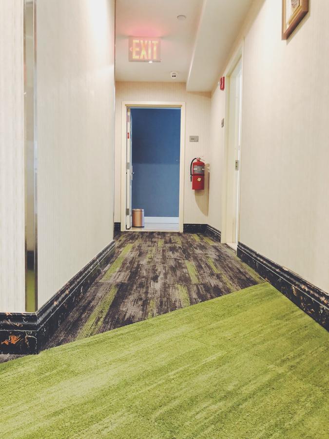 Hotel Mayfair And 2*