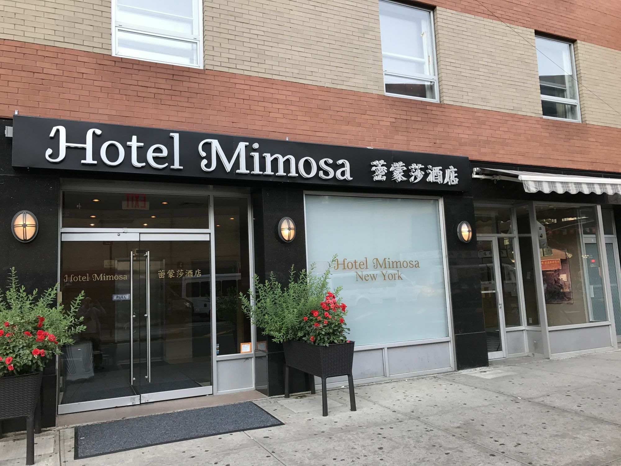 Hotel Mimosa