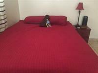 Appartement Ministay Astoria Steinway