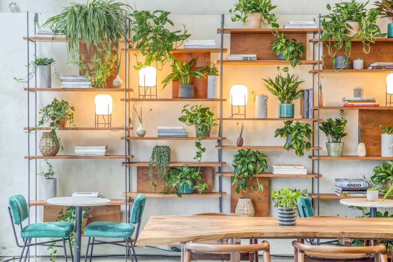 Alameda, Highline New York