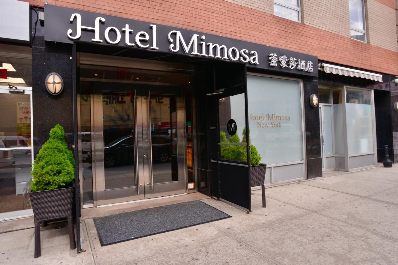 Hotel Mimosa New York