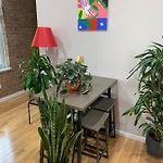 Urban Jungle Oasis In Queens!
