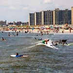 Rockaway 3 Bedroom Suite By The Sea.
