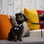 Aloft By Marriott New York Chelsea