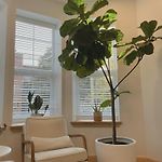 Beautiful Apartment Shared With The Host In The Heart Of Bushwick