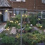 Explore New York From Queens