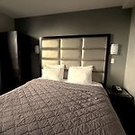 Umbrella Hotel Bronx