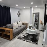 Modern Oasis 1
