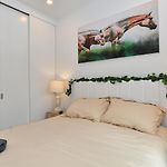 Boho Rustic Escape With Masssive Terrace In Midtown