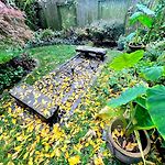 Brooklyn, Garden, Spacious, Great Location, 1 Stop To Manhattan