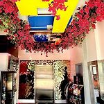 Umbrella Hotel Bronx