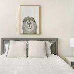 Lovely And Comfy Studio In Nyc
