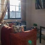 Lux Bronx Apt Rooftop, Pool, Gym, Cinema