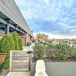 Penthouse In Greenpoint
