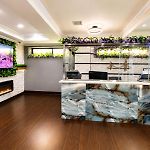 Hotel Pergola Jamaica Jfk