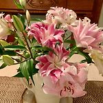 Lovely Brownstone In W Harlem 4 Bdr 3 Bath Garden