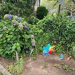 Classical American House 4