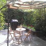 Harlem\'S Finest Apt And Garden!