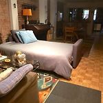 Harlem\'S Finest Apt And Garden!