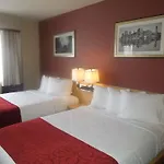 Luxe Ny New York