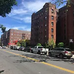 Brooklyn Artist Delight