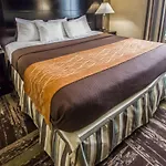 Inn Rodeway Bronx Zoo