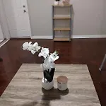 Brighton Apartment New York