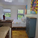 The Harlem Cascades Apartment *