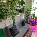 Urban Jungle Oasis In Queens! New York