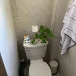 Urban Jungle Oasis In Queens! Homestay