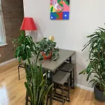 Urban Jungle Oasis In Queens!